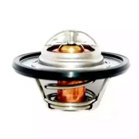 hoffer-8192507
