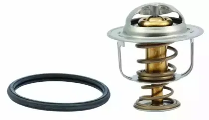 hoffer-8192520