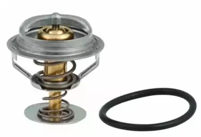 hoffer-8192521