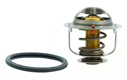 hoffer-8192525