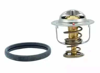 hoffer-8192530