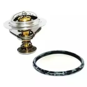 hoffer-8192531