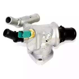 hoffer-8192542