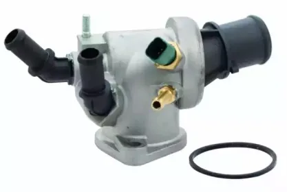 hoffer-8192547