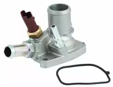 hoffer-8192562