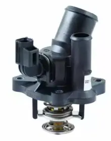 hoffer-8192598