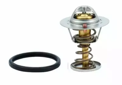 hoffer-8192614