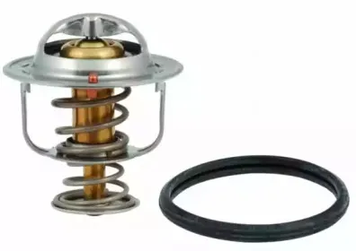 hoffer-8192624