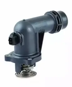hoffer-8192720