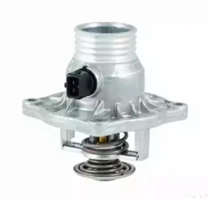 hoffer-8192721