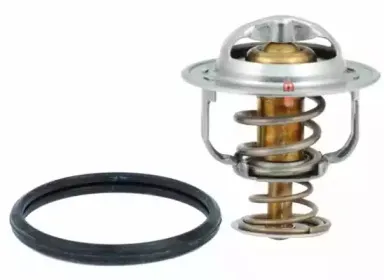 hoffer-8192741