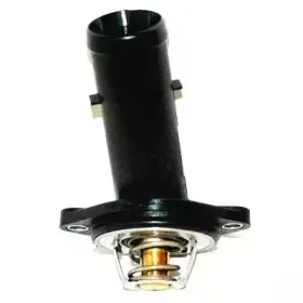 hoffer-8192785