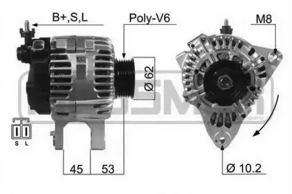 messmer-210479
