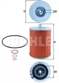 OX 71 KNECHT