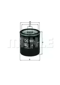 OC 981 KNECHT