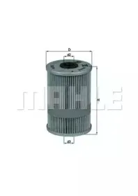 OX 99 KNECHT