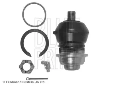 ADC48613 BLUE PRINT