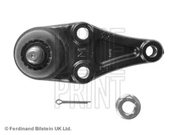 blueprint-adc48687