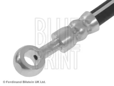 blueprint-adg053193