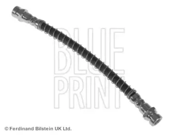 blueprint-adg053243
