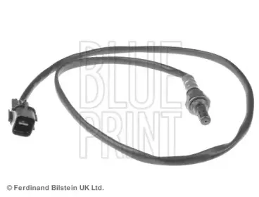 blueprint-adg07021