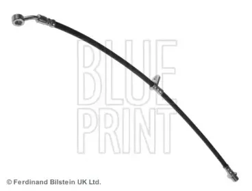 ADH253109 BLUE PRINT