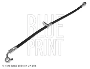 ADH253110 BLUE PRINT