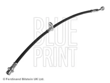 ADH253111 BLUE PRINT