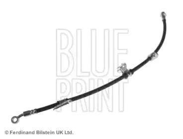 blueprint-adh253113