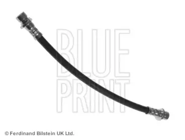 ADH253116 BLUE PRINT