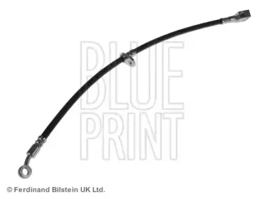 blueprint-adh253118