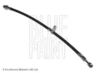 blueprint-adh253126