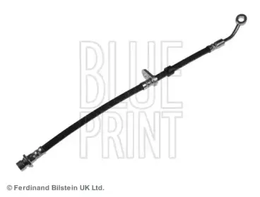 blueprint-adh253139
