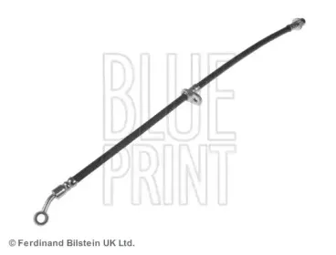 ADH253141 BLUE PRINT