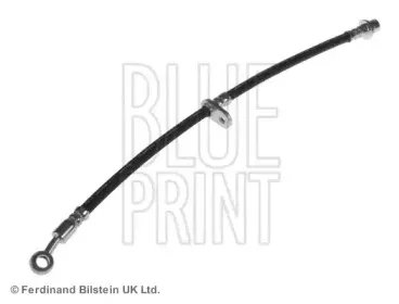 blueprint-adh253149