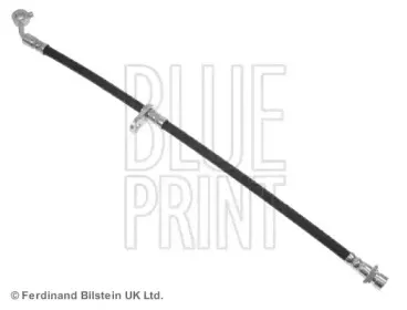 blueprint-adh253159