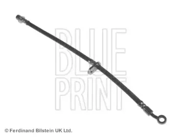 ADH253165 BLUE PRINT
