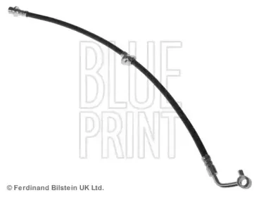 ADH253198 BLUE PRINT
