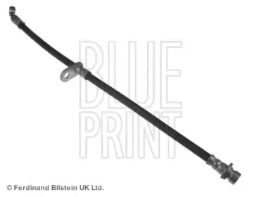 blueprint-adh25366