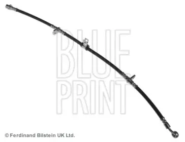 ADH25380 BLUE PRINT