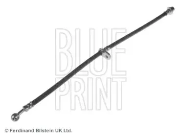 blueprint-adh25384
