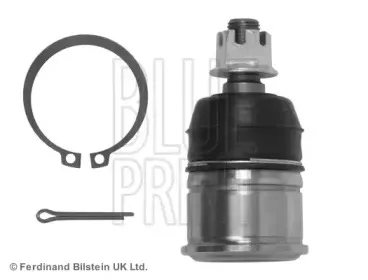 ADH28607 BLUE PRINT