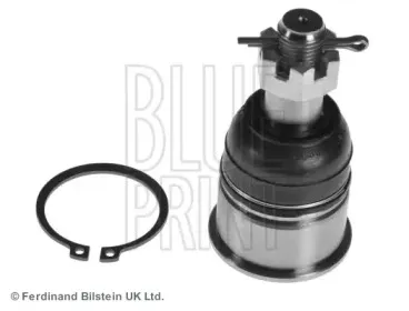 ADH286137 BLUE PRINT