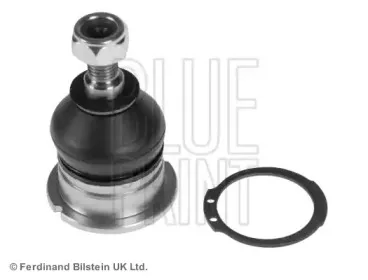 ADH286149 BLUE PRINT