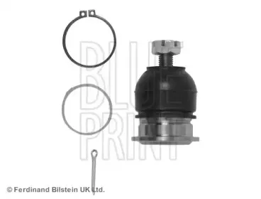 ADH28668 BLUE PRINT