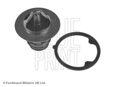 ADH29222 BLUE PRINT