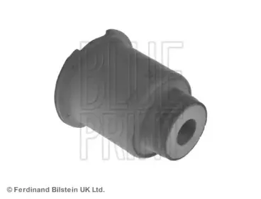 ADJ138009 BLUE PRINT