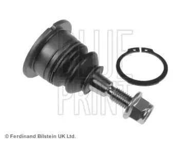 ADJ138601 BLUE PRINT