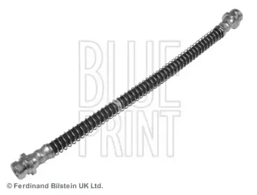 blueprint-adm553113