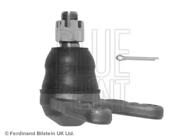 blueprint-adm58613